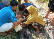 Diduga Tersengat Listrik Saat Menyetrum Ikan, Pria di Marabahan Ditemukan Meninggal