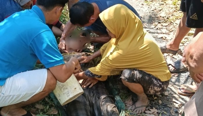Diduga Tersengat Listrik Saat Menyetrum Ikan, Pria di Marabahan Ditemukan Meninggal