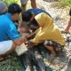Diduga Tersengat Listrik Saat Menyetrum Ikan, Pria di Marabahan Ditemukan Meninggal