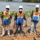 Dorong Industri Maritim Hijau, Pelindo Batulicin Perkuat Komitmen Lingkungan di Hari Mangrove Sedunia