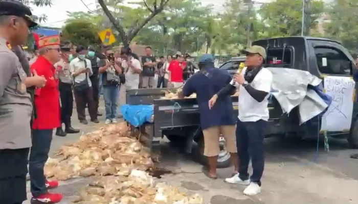 Listrik Padam Bergilir, Peternak Buang Bangkai Ayam ke Kantor PLN