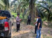 Diduga Curi Buah Sawit, Pria di Tabalong Diamankan Polisi