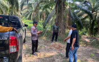 Diduga Curi Buah Sawit, Pria di Tabalong Diamankan Polisi