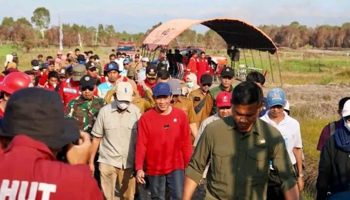 Karhutla Mengancam, Wamenko Pangan Turun Langsung ke Titik Api di Kalsel