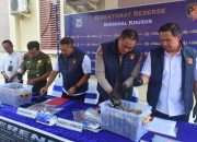 64 Kg Sisik Trenggiling Disita di Banjarmasin, Rencana Pengiriman ke Luar Negeri