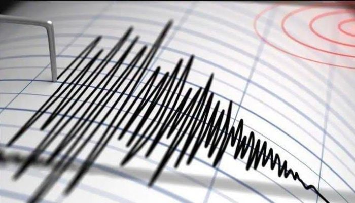 4.258 Gempa Susulan Tercatat Pascagempa M7,7 di Flores NTT