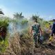 Karhutla di Kusan Hilir Tanah Bumbu Berhasil Dipadamkan