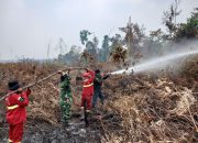 TNI Siagakan 73.766 Personel untuk Tangani Karhutla