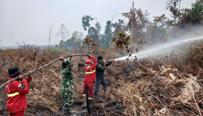 TNI Siagakan 73.766 Personel untuk Tangani Karhutla