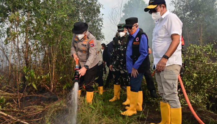 Wamenko Pangan dan Kapolda Kalsel Tinjau Karhutla di Banjarbaru, 300 Pompa Disiapkan