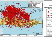 6.697 Gempa Susulan Terjadi di Flores NTT
