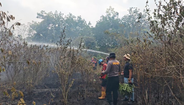Tiga Karhutla dalam Sehari di Balangan, Polisi dan Relawan Padamkan Api