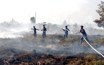 Satgas Darat Lanud Sjamsudin Noor Padamkan Karhutla di Sekitar Bandara