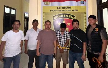 Diduga Curi Peralatan Gudang PT Madina Minning, Ditangkap Polisi