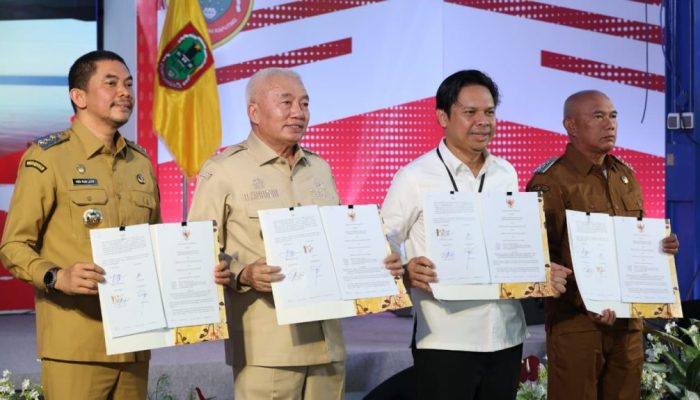 Dirjen Bina Marga Ungkap 3.395 Jembatan Terbangun, Kalsel Jadi Pilot Project