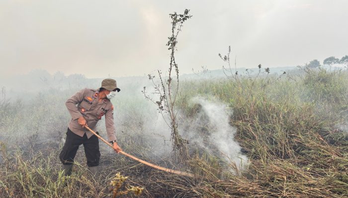 Karhutla 11,43 Hektare di Pulau Damar HSU Berhasil Dipadamkan