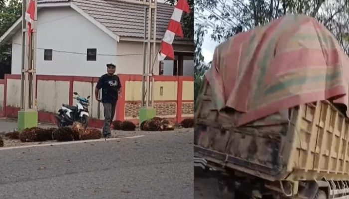 Puluhan Tandan Buah Sawit Tumpah di Jalan Poros Kalimantan Satui