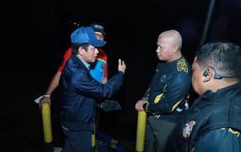 Cegah Api Bawah Tanah, Kapolda Kalsel dan Wamenko Pangan Cek Pembasahan Gambut
