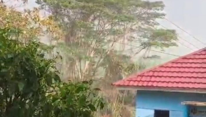 Lama Kemarau, Gunung Ulin Kotabaru Akhirnya Diguyur Hujan