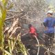 Karhutla Kembali Terjadi di Penjaratan, Kawasan Habitat Bekantan