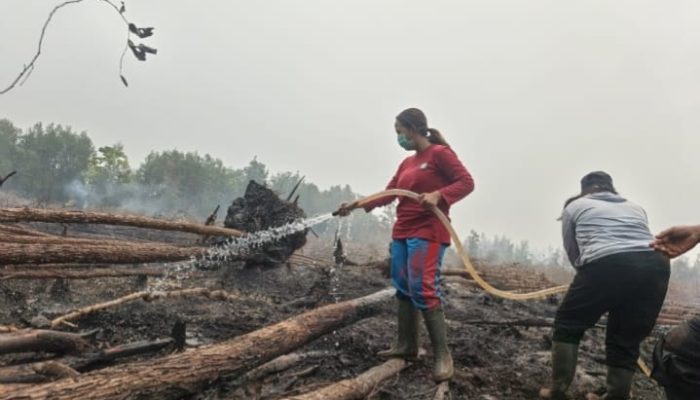 WALHI Desak Kebijakan Konkret Usai Kunjungan Wapres ke Kalteng