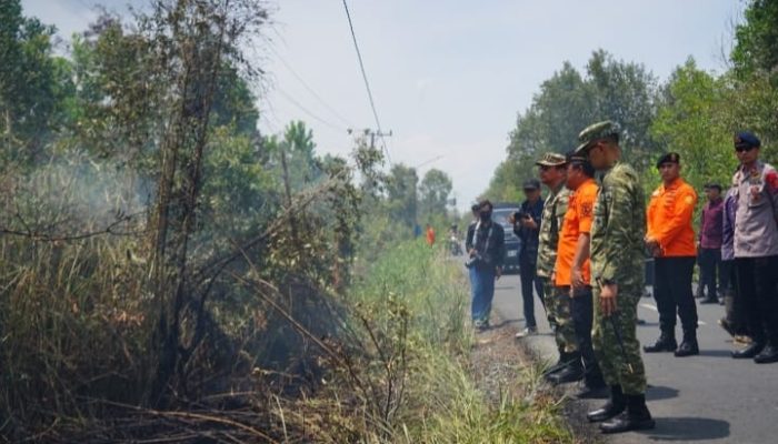 Dandim dan Bupati Tanah Bumbu Tinjau Karhutla di Kersik Putih