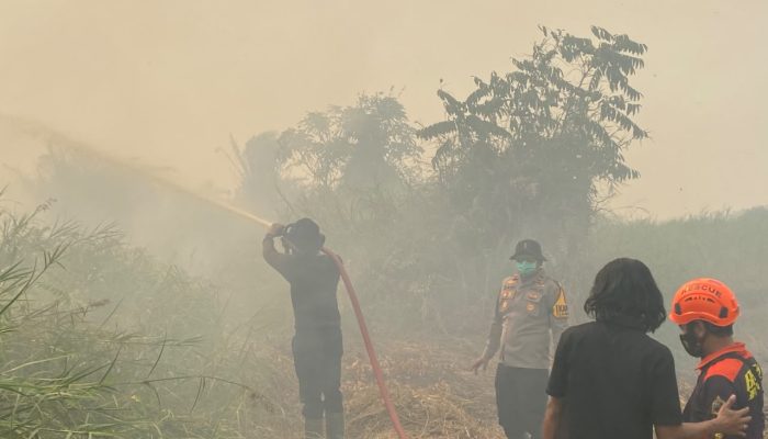 Karhutla Hanguskan 2 Hektare Lahan Gambut di Trans Papuyuan Balangan