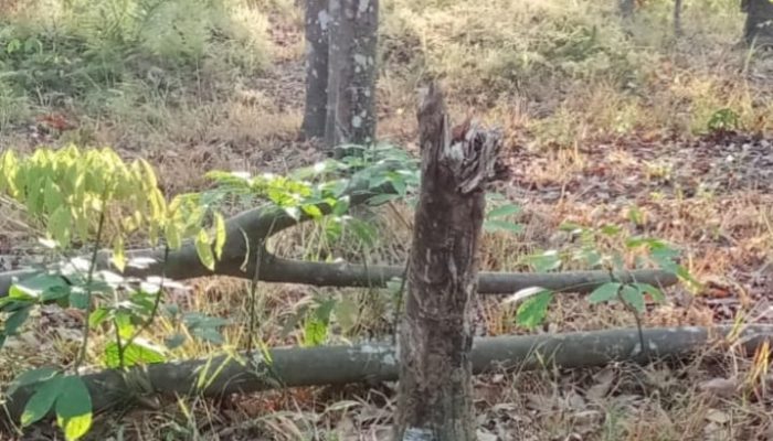 Warga Tuding Debu Batubara dari Conveyor di Asam-Asam, Arutmin Bantah