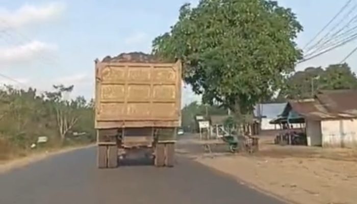 Truk Tronton Diduga Angkut Batubara Melintas Tanpa Penutup di Jalan Lintas Kalimantan