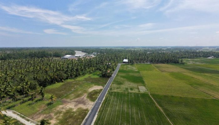 Jalan Desa Rantau Panjang Hulu Diaspal, Begini Dampaknya