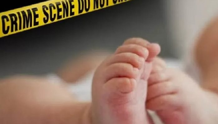 Bayi dalam Kardus di Pati Ternyata Cucu Sendiri, Polisi Ungkap Rekayasa