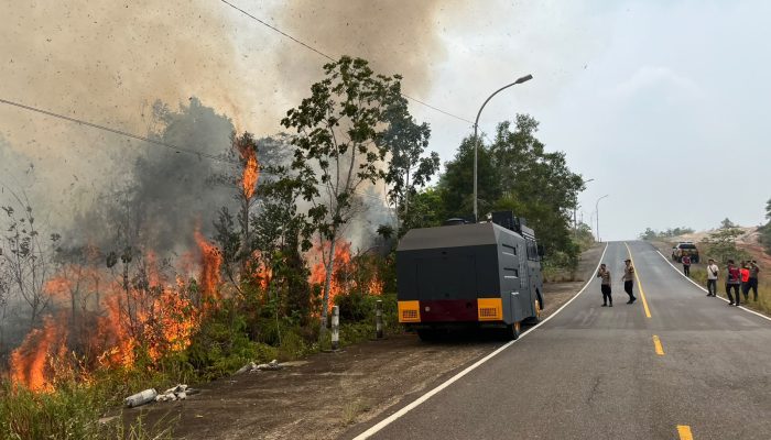 Kebakaran Lahan 4 Hektare Melanda Tanjungpinang