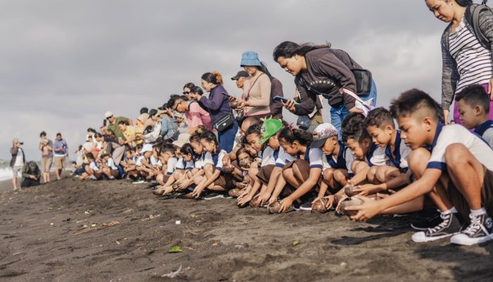 Nelayan di Pantai Biaung Beralih Jadi Penjaga Penyu
