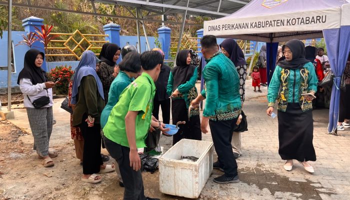 Gerai Ikan Murah Kotabaru Diserbu Warga, 100 Kg Ikan Tak Cukup