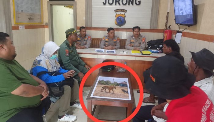 Heboh Harimau di Tanah Laut, Foto yang Beredar Ternyata Buatan AI