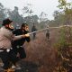 Kapolda Kalsel Turun Langsung Padamkan Karhutla di Banjarbaru