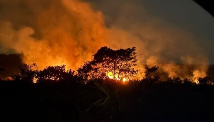 Kab Banjar Terima Banpres Rp20 Miliar untuk Tangani Karhutla