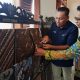 Smart Batik Indonesia Kembangkan Ekosistem Batik Sawit di Yogyakarta