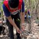 Patra Logistik Tanam 333 Bibit Mangrove di Wonorejo Surabaya