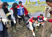 Patra Logistik Tanam 100 Bibit Mangrove di Deli Serdang
