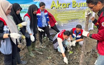Patra Logistik Tanam 100 Bibit Mangrove di Deli Serdang