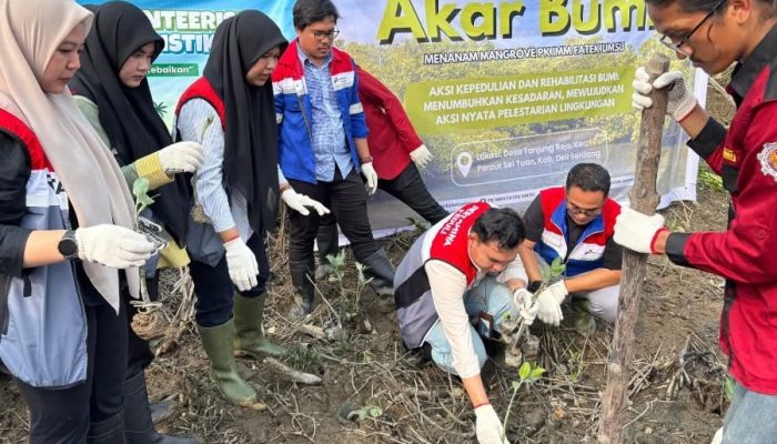 Patra Logistik Tanam 100 Bibit Mangrove di Deli Serdang