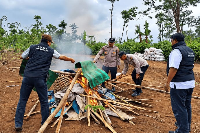 Polisi Bongkar Arena Sabung Ayam di Singosari Malang