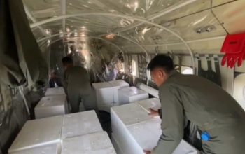 Hujan Turun, Karhutla Harian Kalsel Menyusut Jadi 40 Hektare